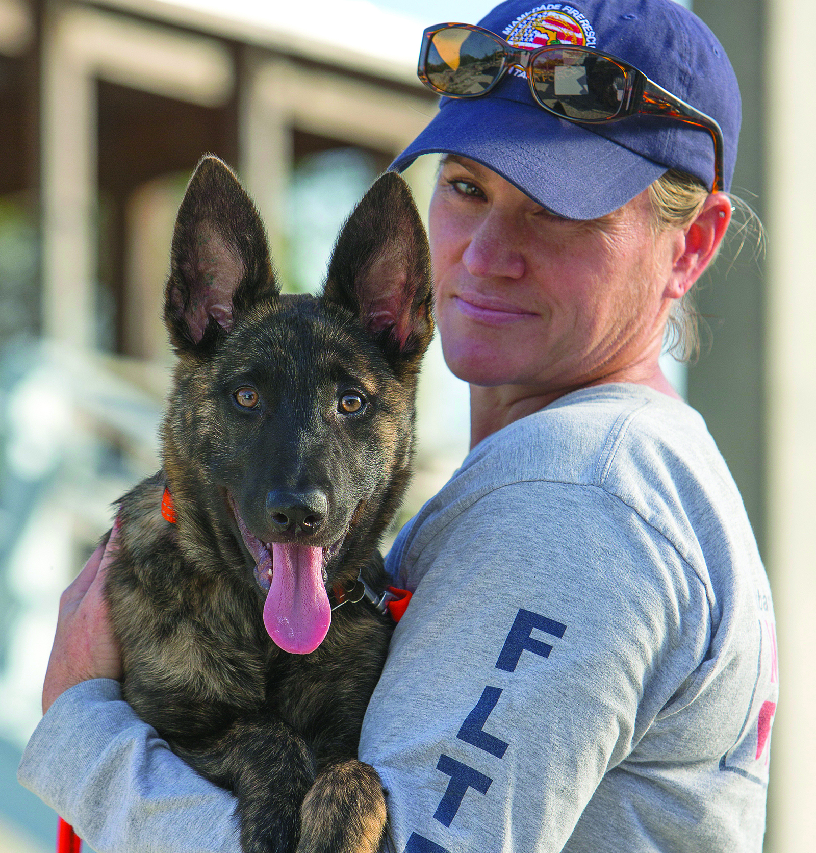 MiamiDade County rescue dog hits the big screen